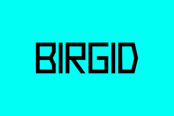 Birgid: A Geometric Display Font That Elevates Digital Headlines